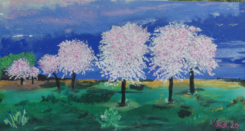 Kirschblüte